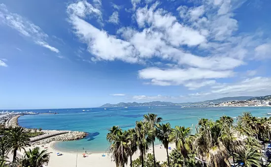 Location de Vacances Cannes 89